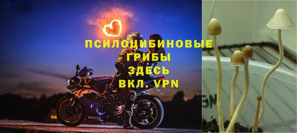 хмурый Верея