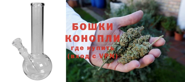 хмурый Верея