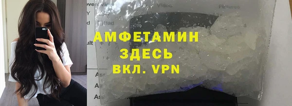 хмурый Верея
