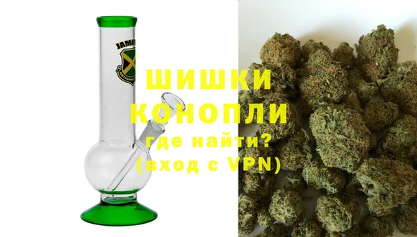 хмурый Верея