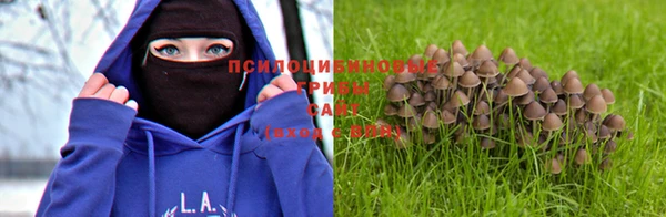 mdpv Бронницы