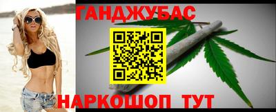 сатива Малгобек