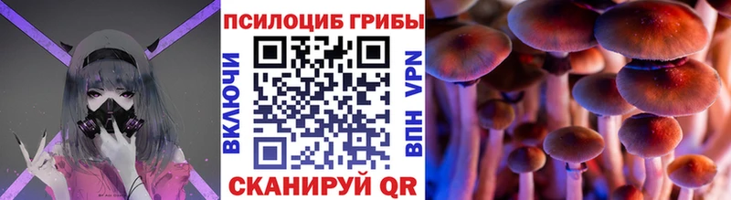 купить наркотик  Рузаевка  Галлюциногенные грибы мицелий 